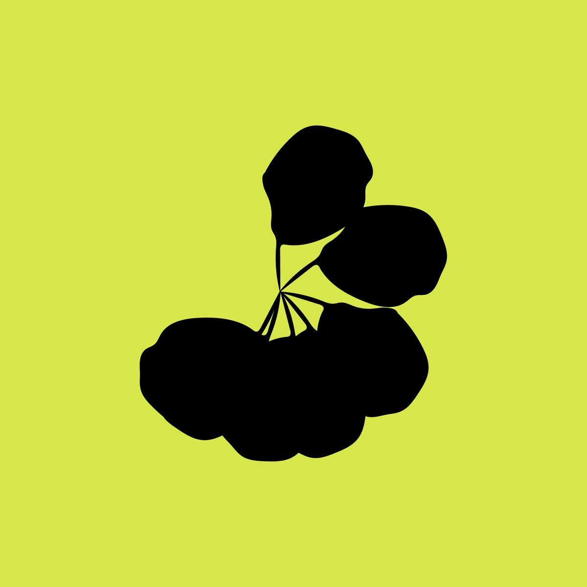 SWAMP is hiring an administrator